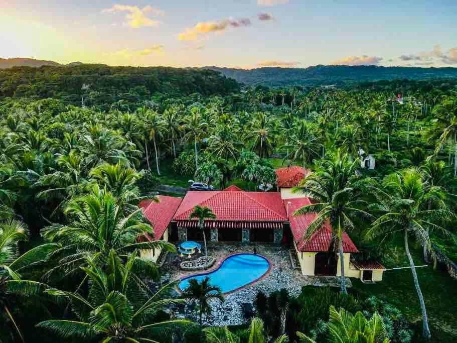 Palm House - Luxury Villa - Samana - Ocean Front Sánchez Exterior foto